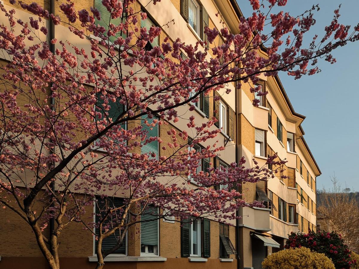 Central Suite Meran Eksteriør billede